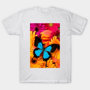 Blue Butterfly On Colorful Daisy's T-Shirt